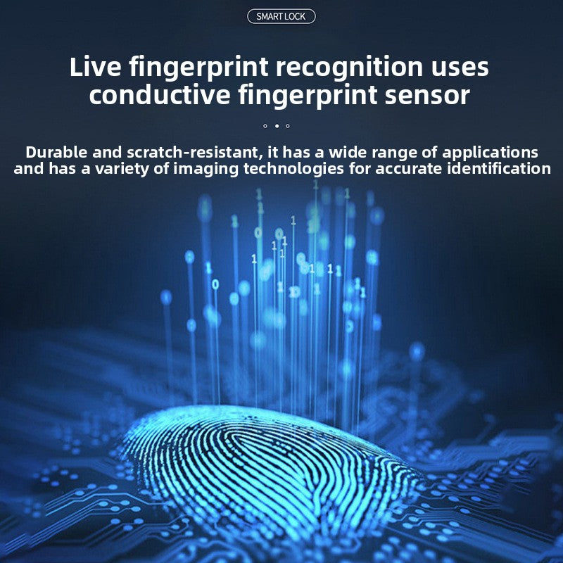 Fingerprint intelligent lock